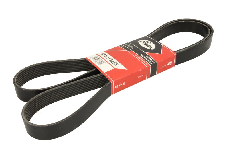 GAT8PK1972ES Pasek wielorowkowy GATES