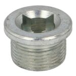 132255-CR Korek spustowy zwolnicy CARRARO
