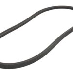 CP10548 Pasek wielorowkowy OPTIBELT