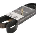 DAY8PK1945HD Pasek wielorowkowy DAYCO