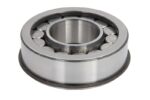 5.30138 Łożysko mechanizmu różnicowego DT SPARE PARTS