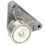 VKMCV 51036 Napinacz paska wielorowkowego SKF