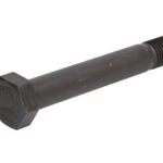 FE08230 Śruba mocowania resoru FEBI BILSTEIN