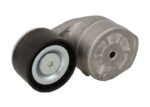 VKMCV 56011 Napinacz paska wielorowkowego SKF