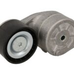 VKMCV 56011 Napinacz paska wielorowkowego SKF