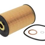 E134H D06 Filtr oleju HENGST