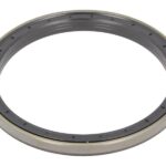 CO12018750B Uszczelniacz piasty CORTECO