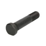 FE35631 Śruby, nakrętki, szpilki FEBI BILSTEIN