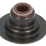 70-45891-60 Uszczelniacz trzonka zaworu REINZ