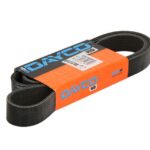 DAY8PK1685HD Pasek wielorowkowy DAYCO