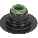 70-45892-60 Uszczelniacz trzonka zaworu REINZ