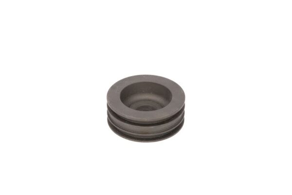 1297334053zf tłok cylindra zf - obrazek 2