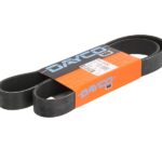DAY8PK1255HD Pasek wielorowkowy DAYCO