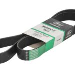 GAT10PK1715HD Pasek wielorowkowy GATES