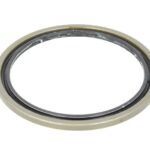 CO01034120B Uszczelniacz piasty CORTECO