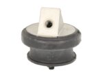 STR-1202164 Poduszka silnika S-TR