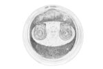CH12894-PER - obrazek 2