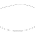 7700047393-CL Oring skrzyni biegów OE CLAAS