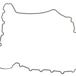 LE26225.12 Uszczelka chłodnicy oleju LEMA