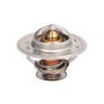 D2CA004TT Termostat cieczy chłodzącej THERMOTEC