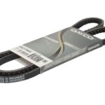 DAY10A1175HD Pasek klinowy DAYCO