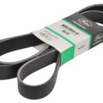 GAT10PK2495HD Pasek wielorowkowy GATES