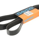 DAY8PK2203HD Pasek wielorowkowy DAYCO