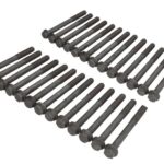 14-10024-01 Zestaw śrub głowicy cylindrów REINZ