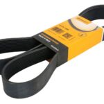 10 PK 1590 Pasek wielorowkowy CONTITECH