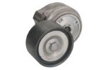 VKMCV 51005 Napinacz paska wielorowkowego SKF