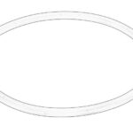 6005022083-CL Oring skrzyni biegów OE CLAAS