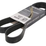 DAY8PK1425HD Pasek wielorowkowy DAYCO