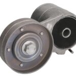 VKMCV 54002 Napinacz paska wielorowkowego SKF
