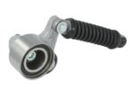VKMCV 55019 Napinacz paska wielorowkowego SKF