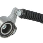 VKMCV 55019 Napinacz paska wielorowkowego SKF