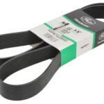 GAT10PK1628HD Pasek wielorowkowy GATES