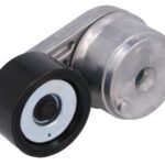 VKMCV 51022 Napinacz paska wielorowkowego SKF