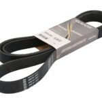 DAY8PK2420HD Pasek wielorowkowy DAYCO