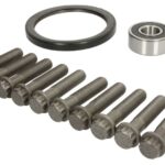 FE31384 Zestaw śrub koła zamachowego FEBI BILSTEIN