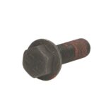 4.40150 Śruba zwrotnicy DT SPARE PARTS