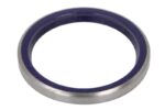B06-2317 Uszczelniacz piasty BTA