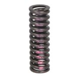 1376718-IPD Sprężyna zaworu IPD PARTS