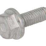 16585724-FPT Śruba FPT