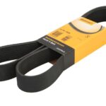 10 PK 1526 Pasek wielorowkowy CONTITECH