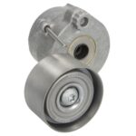 VKMCV 51025 Napinacz paska wielorowkowego SKF