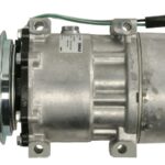 ACP 174 000S Kompresor klimatyzacji MAHLE