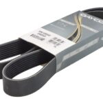DAY8PK1285HD Pasek wielorowkowy DAYCO