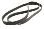 1003238AP Pasek wielorowkowy OPTIBELT