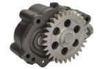 OMP500.181 Pompa oleju OMP