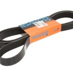 DAY8PK2509HD Pasek wielorowkowy DAYCO